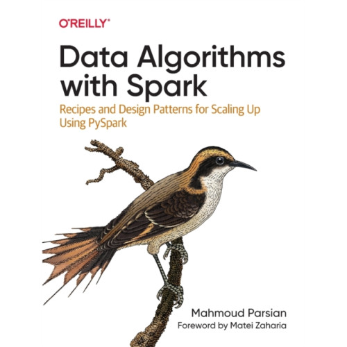 O'Reilly Media Data Algorithms with Spark (häftad, eng)