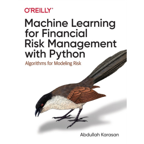 O'Reilly Media Machine Learning for Financial Risk Management with Python (häftad, eng)