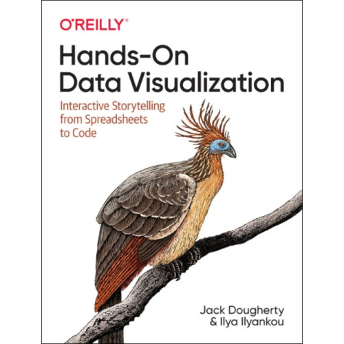 O'Reilly Media Hands-On Data Visualization (häftad, eng)