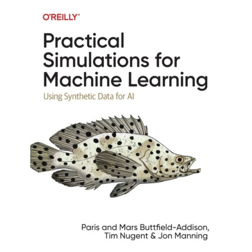 O'Reilly Media Practical Simulations for Machine Learning (häftad, eng)