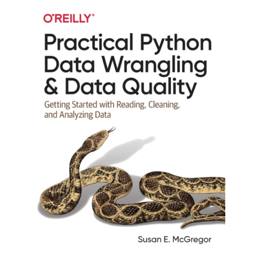 O'Reilly Media Practical Python Data Wrangling and Data Quality (häftad, eng)