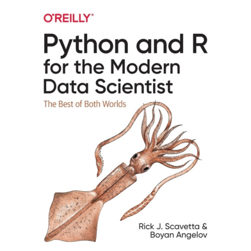 O'Reilly Media Python and R for the Modern Data Scientist (häftad, eng)