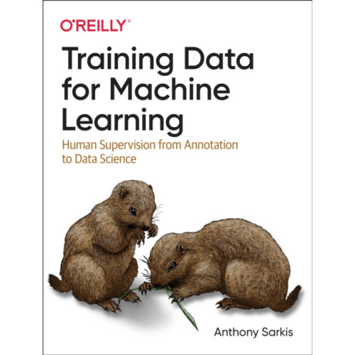 O'Reilly Media Training Data for Machine Learning (häftad, eng)