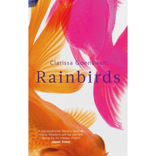 Little, Brown Book Group Rainbirds (häftad, eng)