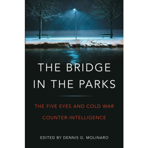 University of Toronto Press The Bridge in the Parks (häftad, eng)