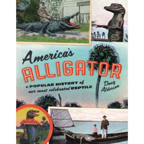 Rowman & littlefield America's Alligator (häftad, eng)