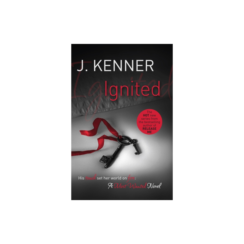 Produktbild för Ignited: Most Wanted Book 3 (häftad, eng)