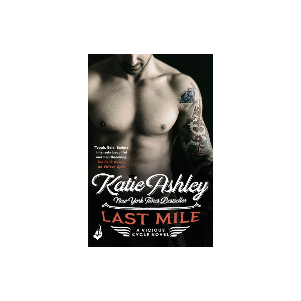 Produktbild för Last Mile: Vicious Cycle 3 (häftad, eng)