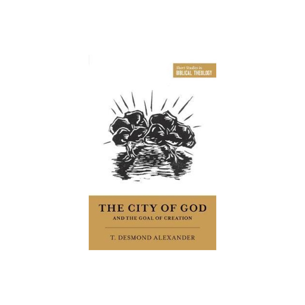 Produktbild för The City of God and the Goal of Creation (häftad, eng)