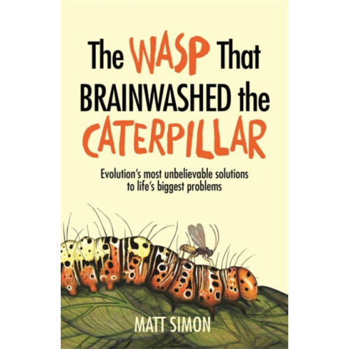 Headline Publishing Group The Wasp That Brainwashed the Caterpillar (häftad, eng)