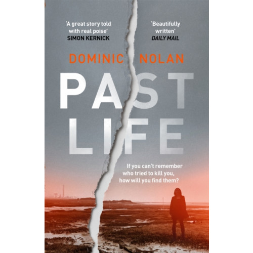 Headline Publishing Group Past Life (häftad, eng)