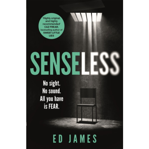 Headline Publishing Group Senseless (häftad, eng)