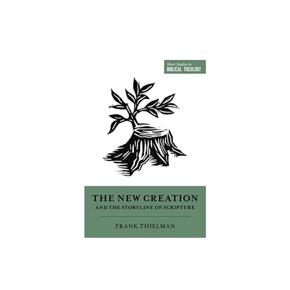 Produktbild för The New Creation and the Storyline of Scripture (häftad, eng)