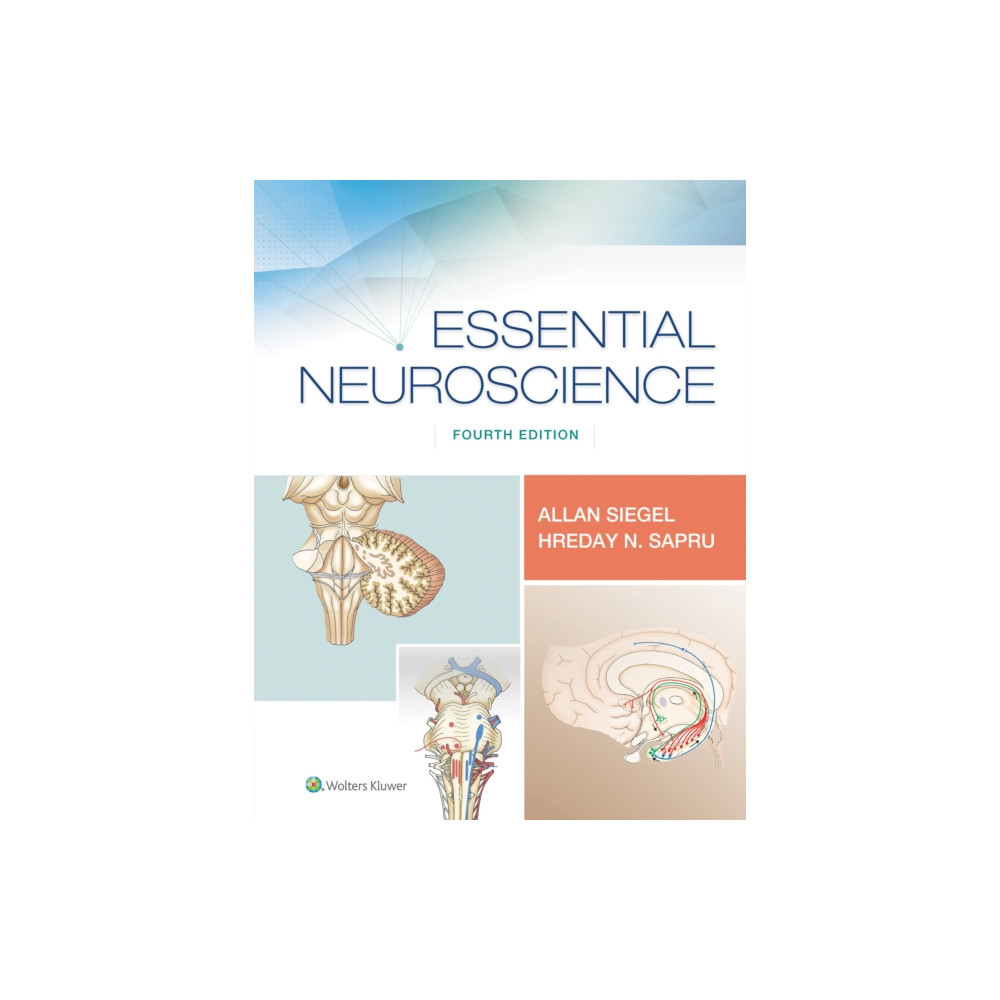 Produktbild för Essential Neuroscience (häftad, eng)