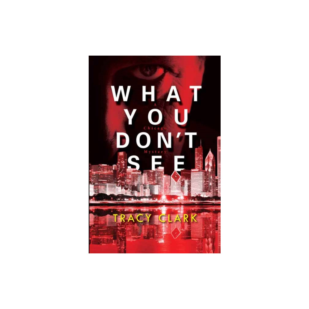 Produktbild för What You Don't See (inbunden, eng)