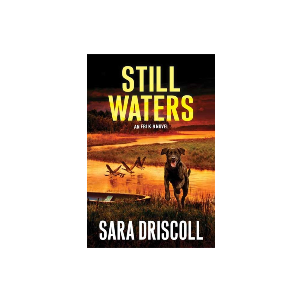 Produktbild för Still Waters (inbunden, eng)