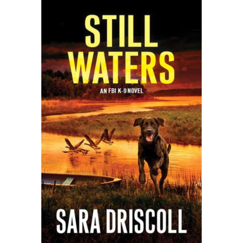 Kensington Publishing Still Waters (inbunden, eng)