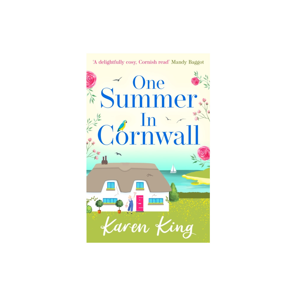 Produktbild för One Summer in Cornwall (häftad, eng)