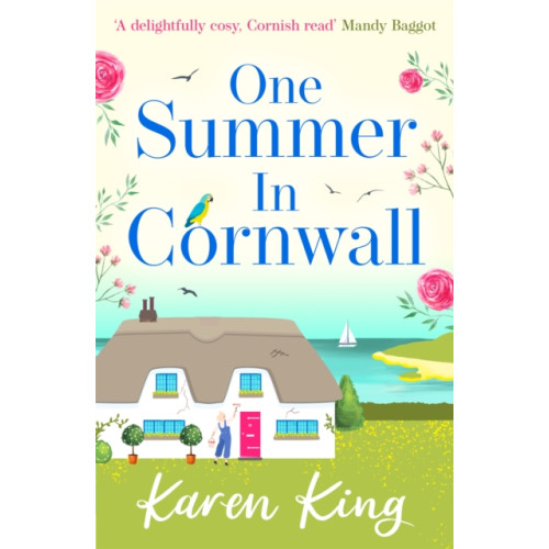 Headline Publishing Group One Summer in Cornwall (häftad, eng)