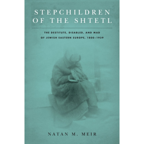 Stanford university press Stepchildren of the Shtetl (häftad, eng)