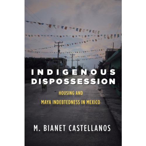 Stanford university press Indigenous Dispossession (häftad, eng)