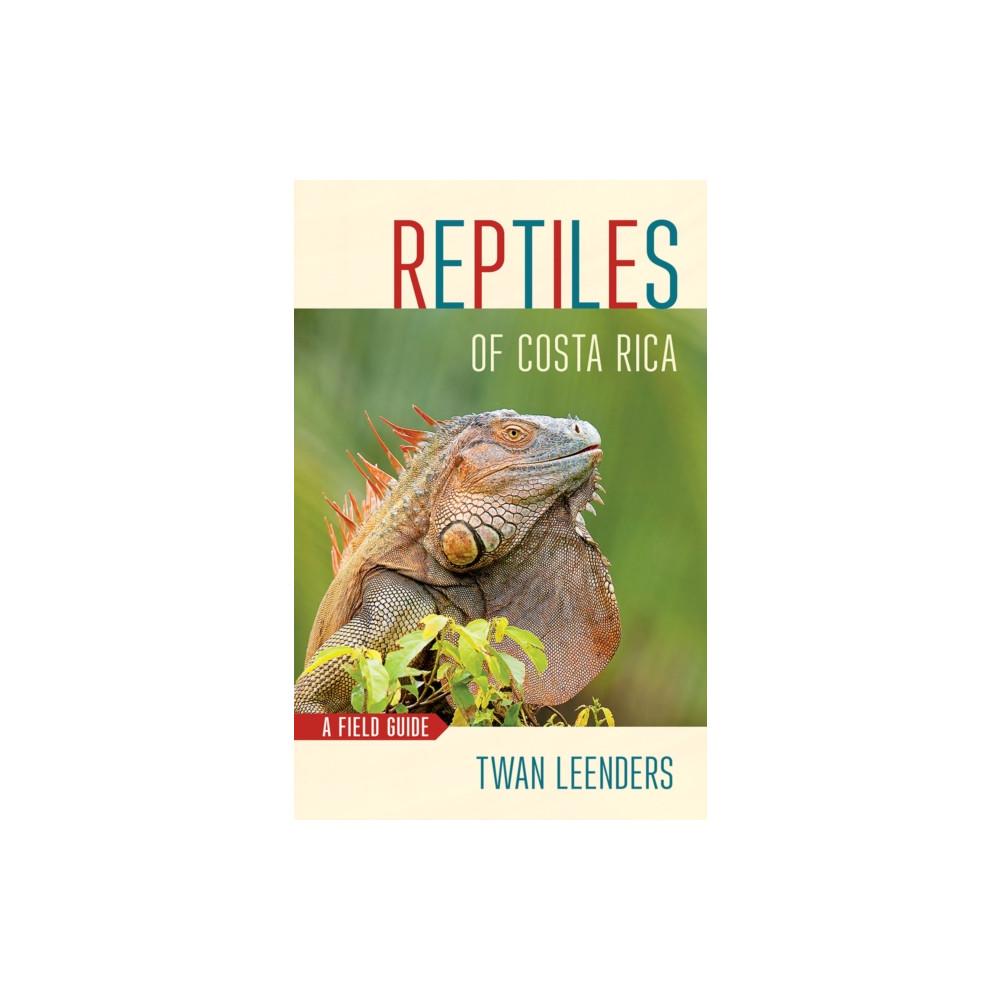 Produktbild för Reptiles of Costa Rica (häftad, eng)