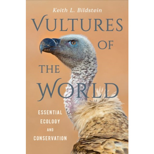 Cornell University Press Vultures of the World (inbunden, eng)