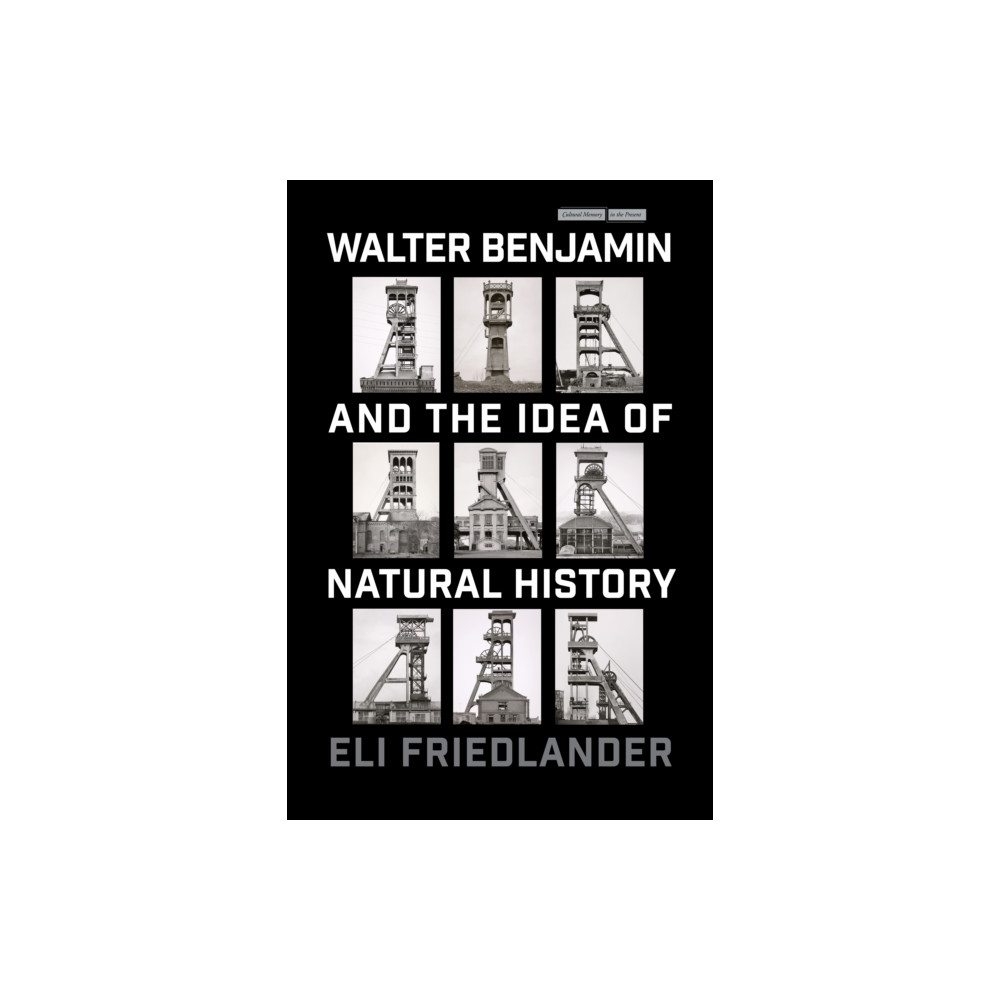 Produktbild för Walter Benjamin and the Idea of Natural History (häftad, eng)