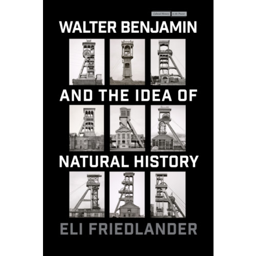 Stanford university press Walter Benjamin and the Idea of Natural History (häftad, eng)