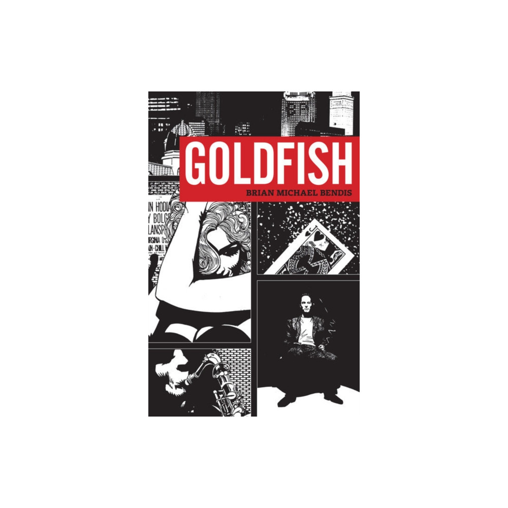 Produktbild för Goldfish (häftad, eng)