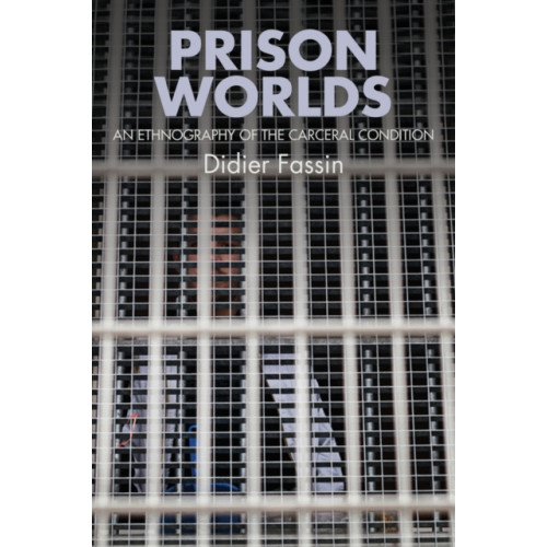 John Wiley And Sons Ltd Prison Worlds (häftad, eng)