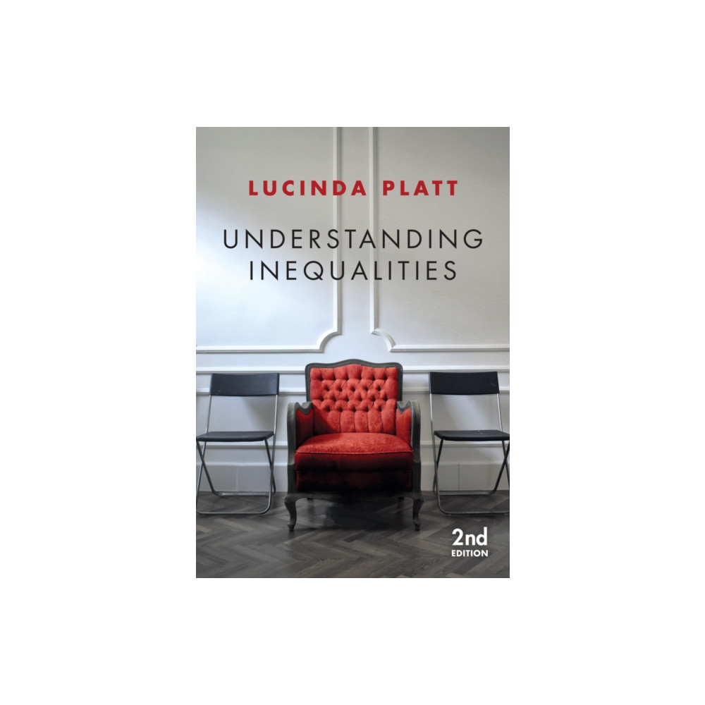 Produktbild för Understanding Inequalities (häftad, eng)