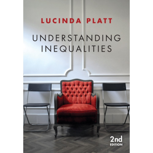 John Wiley And Sons Ltd Understanding Inequalities (häftad, eng)