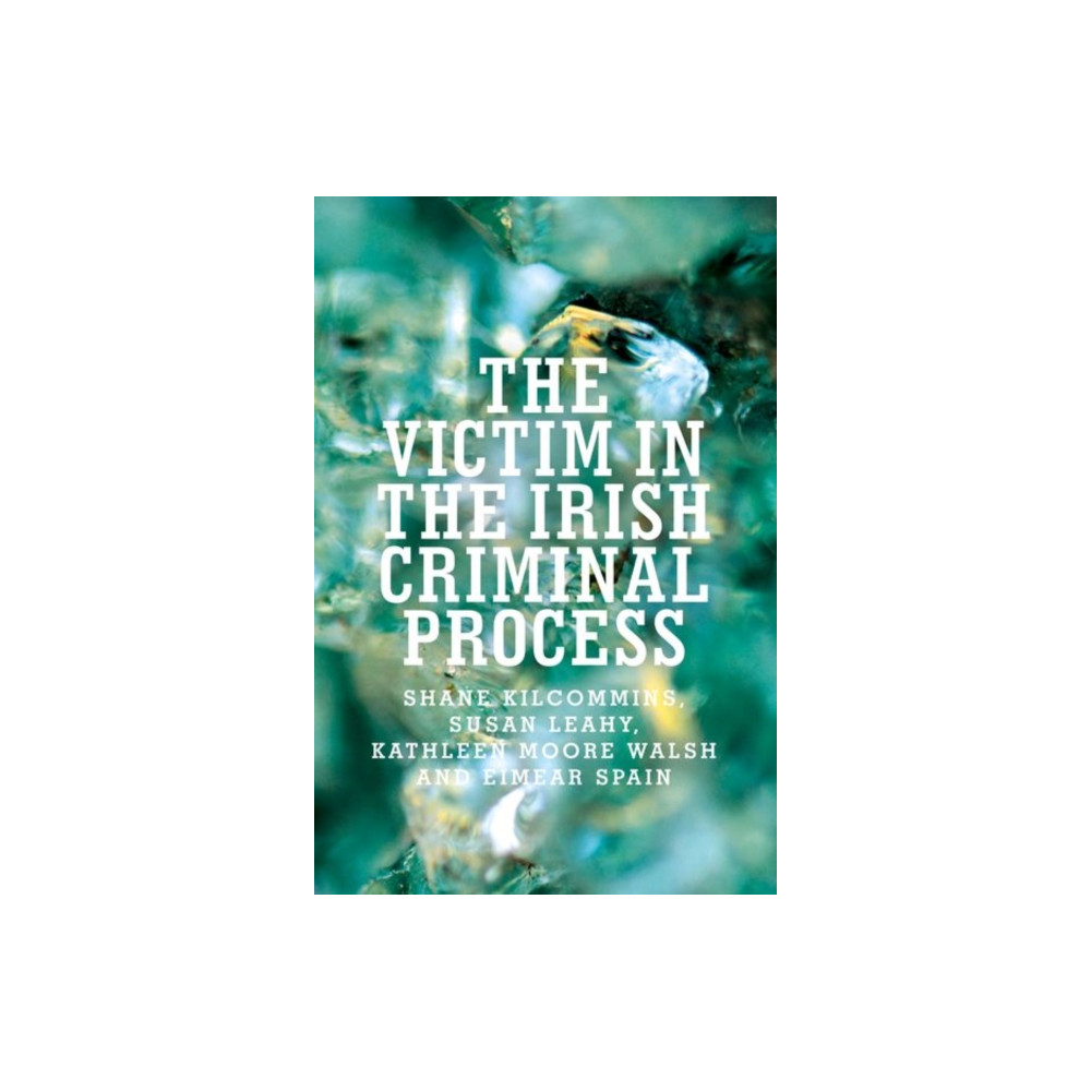 Produktbild för The Victim in the Irish Criminal Process (häftad, eng)