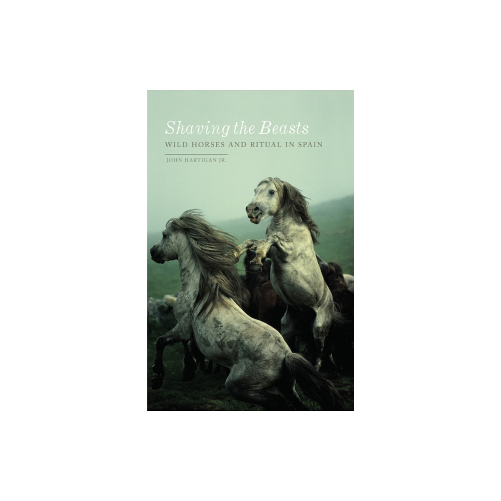 Produktbild för Shaving the Beasts (häftad, eng)
