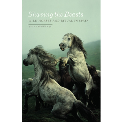 University of Minnesota Press Shaving the Beasts (häftad, eng)
