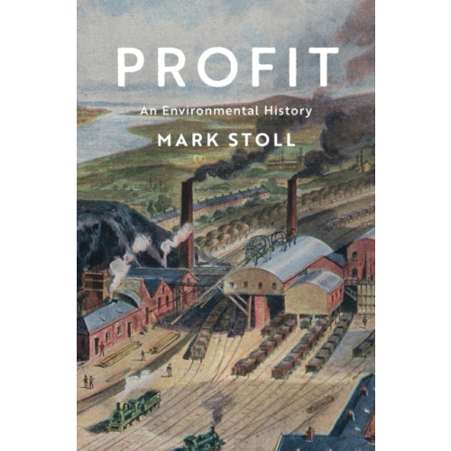 John Wiley And Sons Ltd Profit (inbunden, eng)