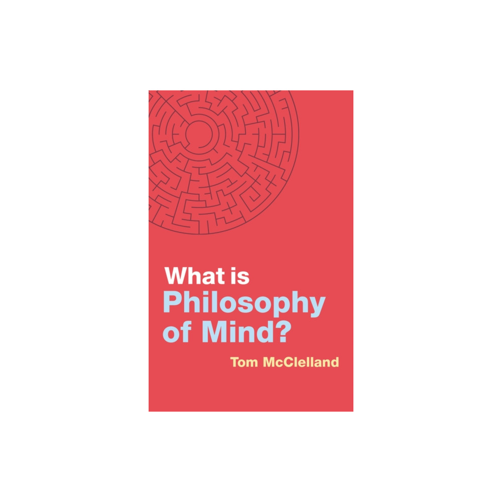 Produktbild för What is Philosophy of Mind? (häftad, eng)