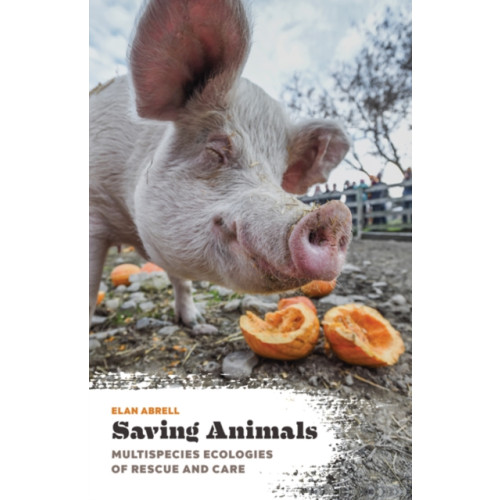 University of Minnesota Press Saving Animals (häftad, eng)