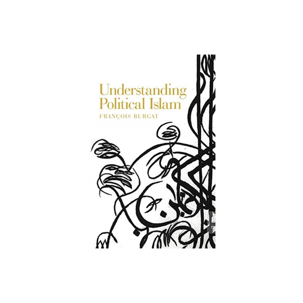 Produktbild för Understanding Political Islam (häftad, eng)