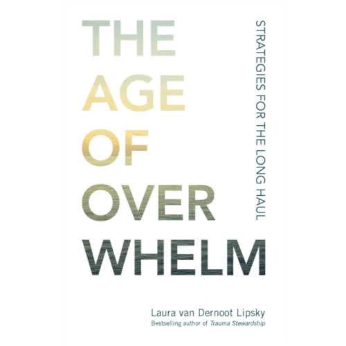 Berrett-Koehler Publishers The Age of Overwhelm (häftad, eng)