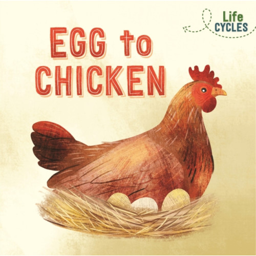 Hachette Children's Group Life Cycles: Egg to Chicken (häftad, eng)