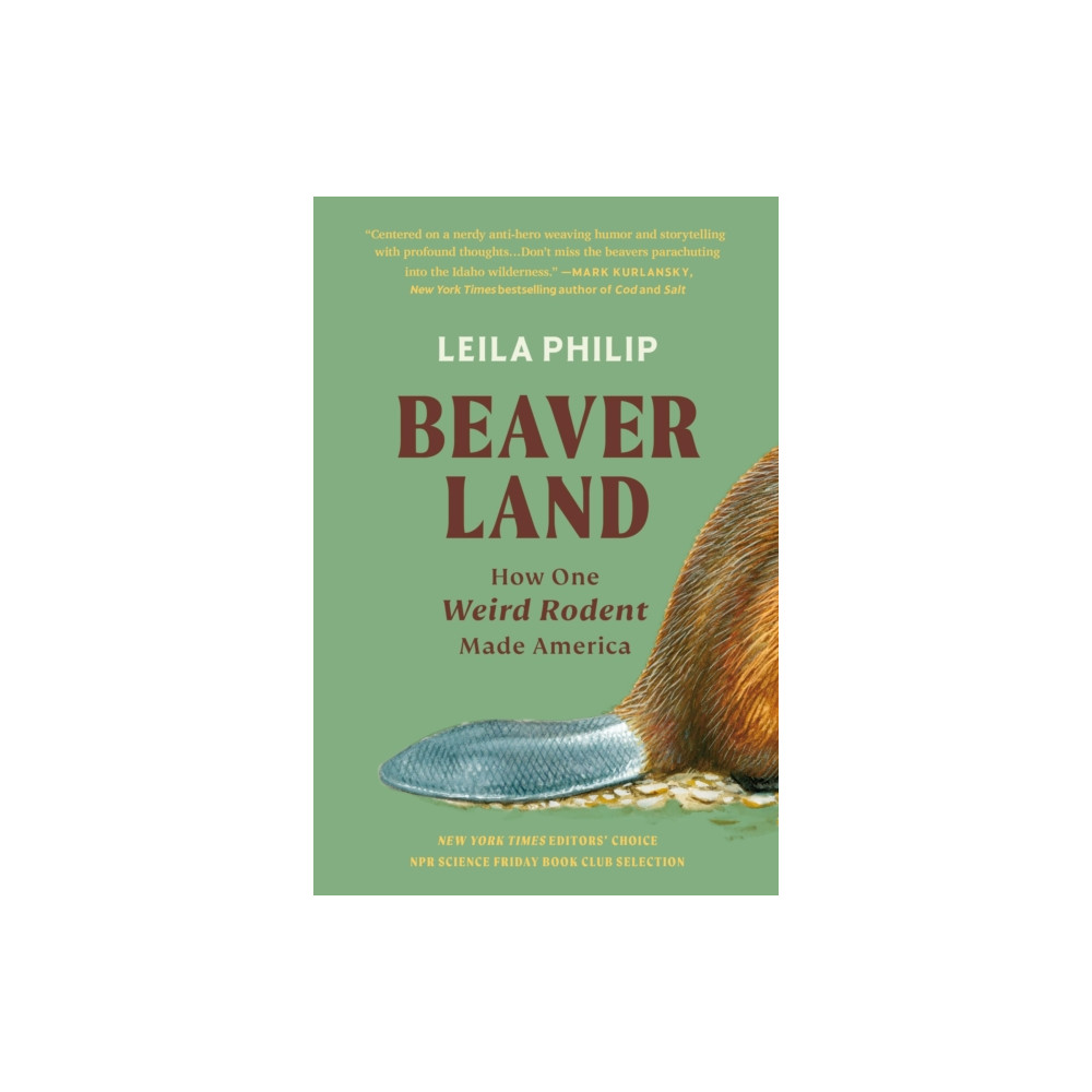 Produktbild för Beaverland (häftad, eng)