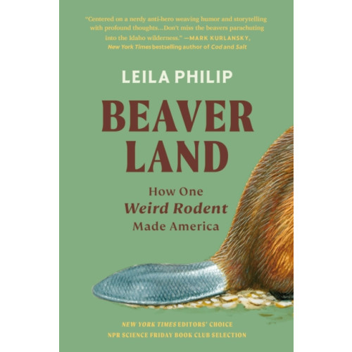 Little, Brown & Company Beaverland (häftad, eng)