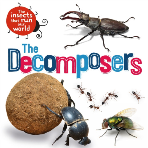 Hachette Children's Group The Insects that Run Our World: The Decomposers (inbunden, eng)