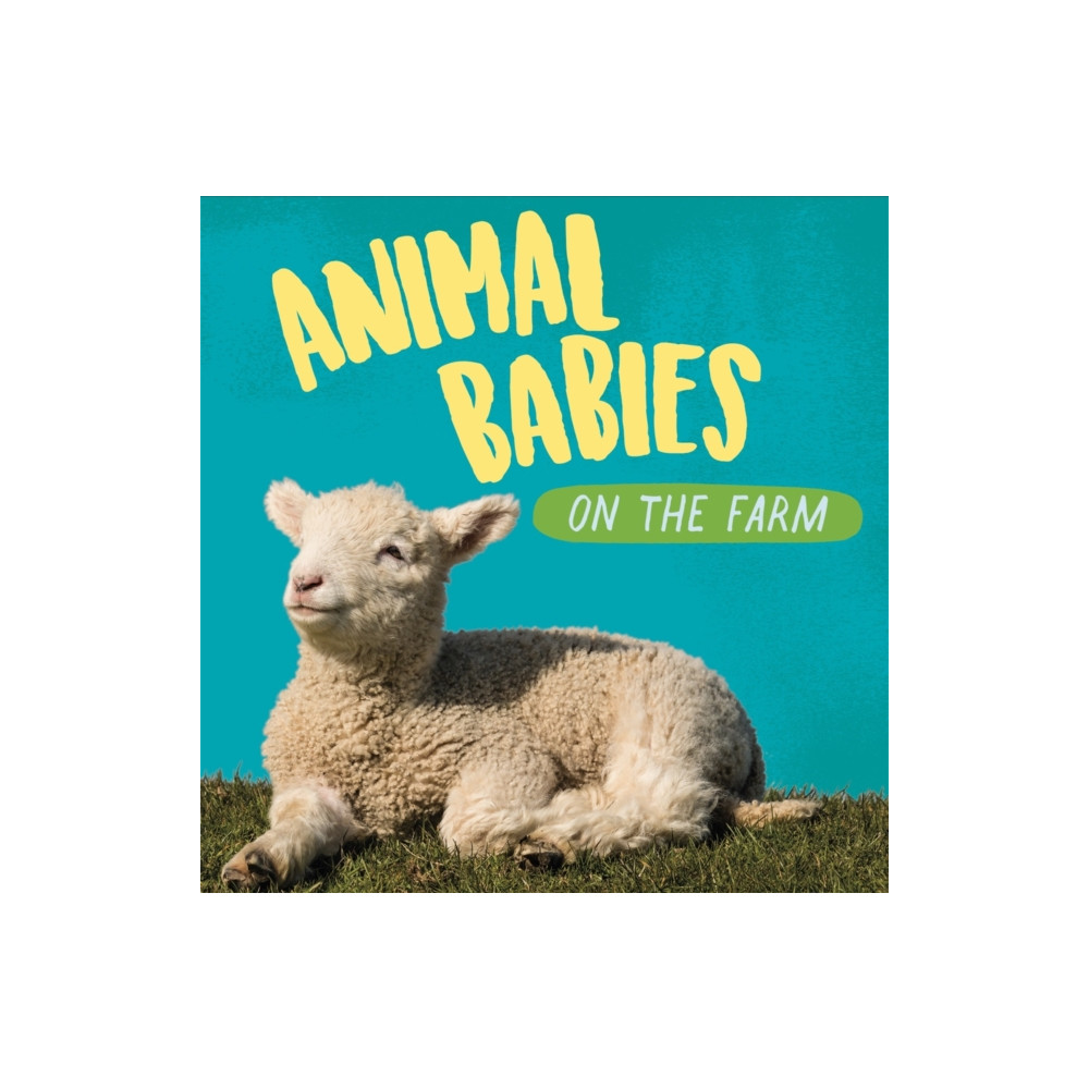 Produktbild för Animal Babies: On the Farm (häftad, eng)