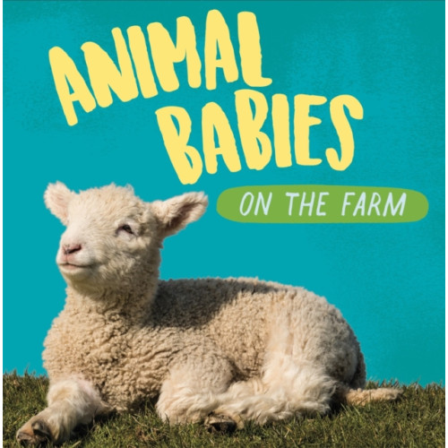 Hachette Children's Group Animal Babies: On the Farm (häftad, eng)