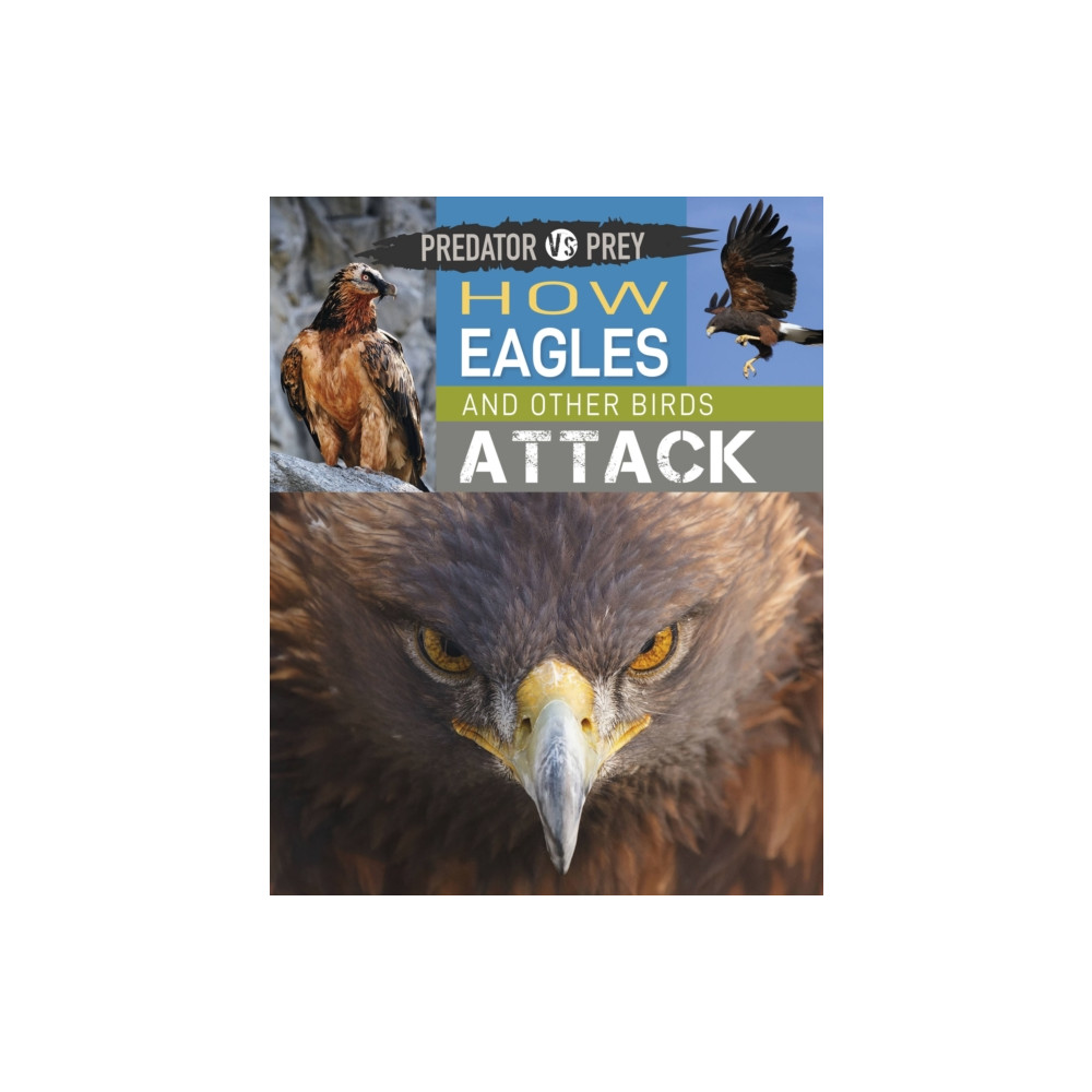Produktbild för Predator vs Prey: How Eagles and other Birds Attack (häftad, eng)