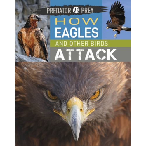Hachette Children's Group Predator vs Prey: How Eagles and other Birds Attack (häftad, eng)