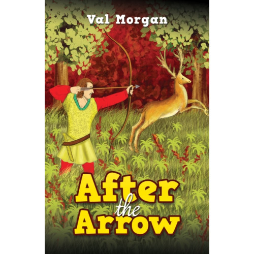 After the Arrow (häftad, eng)